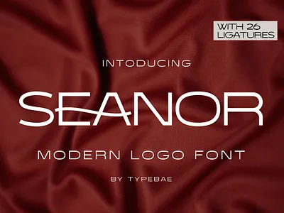 Seanor - Modern Logo Font display font font ligature font logo font