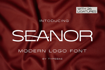 Seanor - Modern Logo Font display font font ligature font logo font