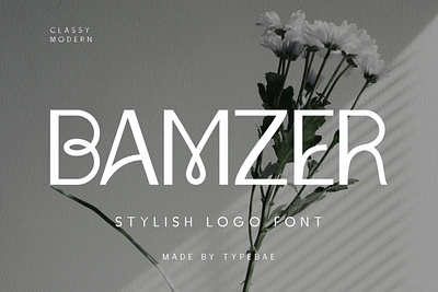 Bamzer Stylish Logo Font display font logo logo font