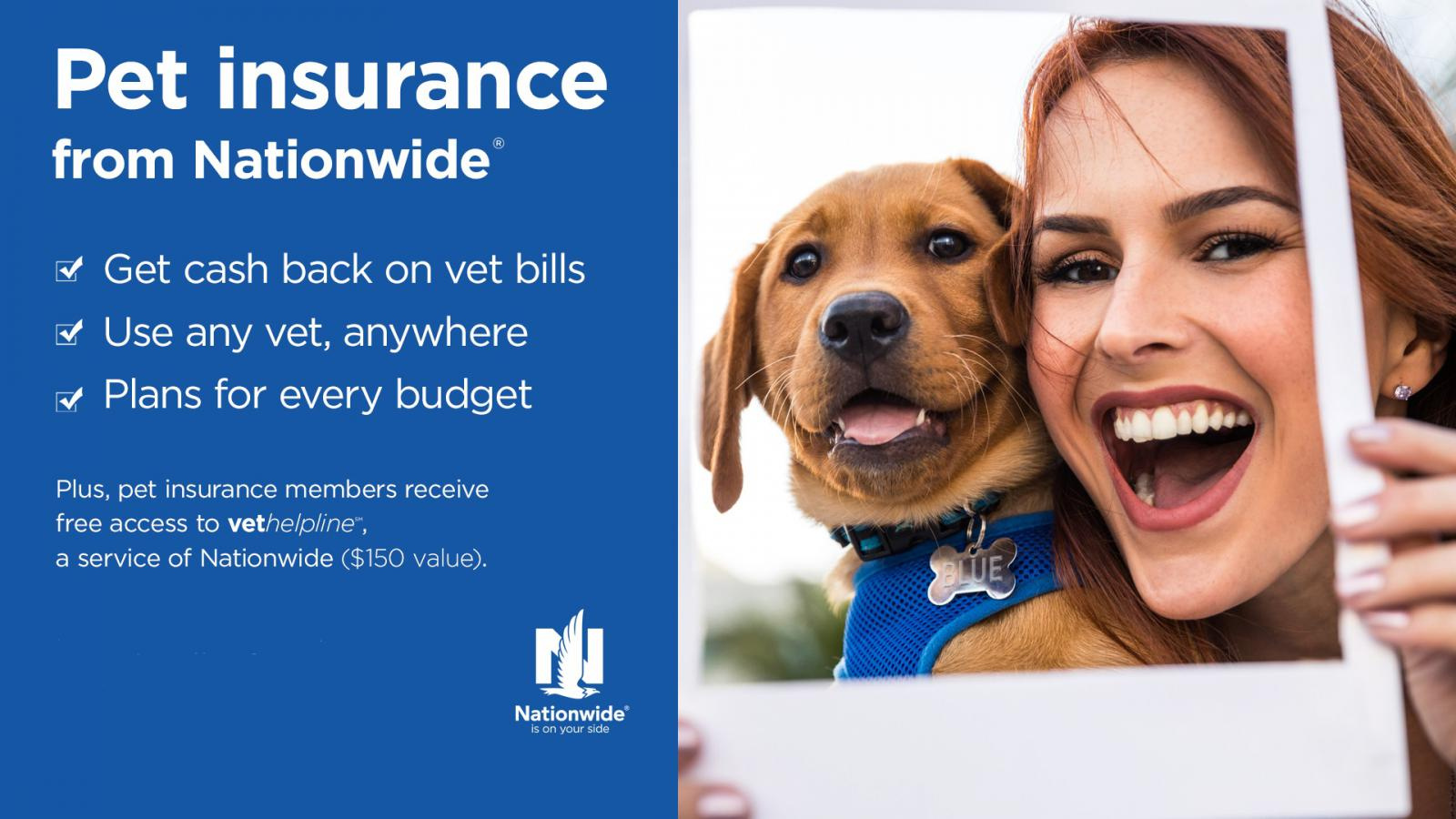 Pet Insurance by Nationwide by Vegansav on Dribbble