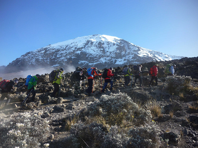 Kilimanjaro Climb And Safari Package by Domestic Tourism Safaris