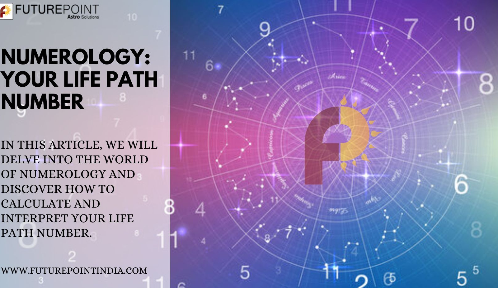 numerology-your-life-path-number-by-future-point-india-on-dribbble