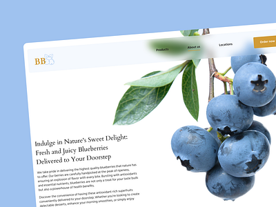 E-commerce landing for blueberry farm big illustrations branding design graphic design header illustration landing logo ui ux web design