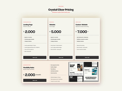 Pricing Section for a Landing Page of a Design Agency agency cta home home page landing page pricing pricing page pricing section ui web design webdesign website website design