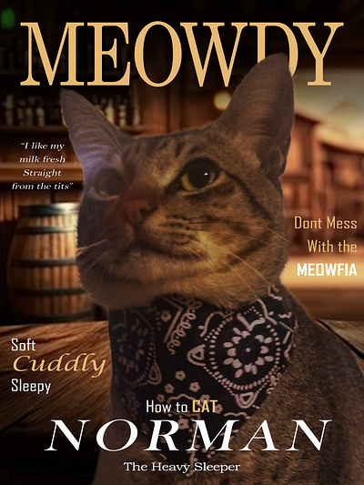 MEOWDY: The Cat Series cat cover cute fluffly graphic design layout magazine wild west