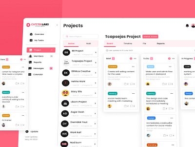 Catatin Labs - Project Management Dashboard graphic design ui ux