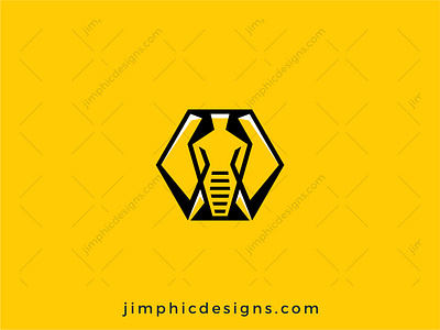Elephant Logo branding design graphic design logo vector