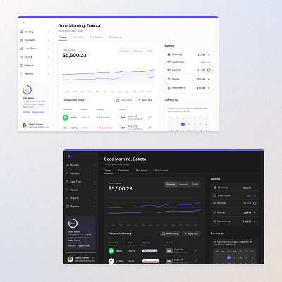 Light and Dark Dashboard ui user experience ux
