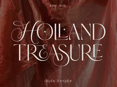 Holland Treasure Hybrid Font display dual duo hybrid logotype modern sans serif script text