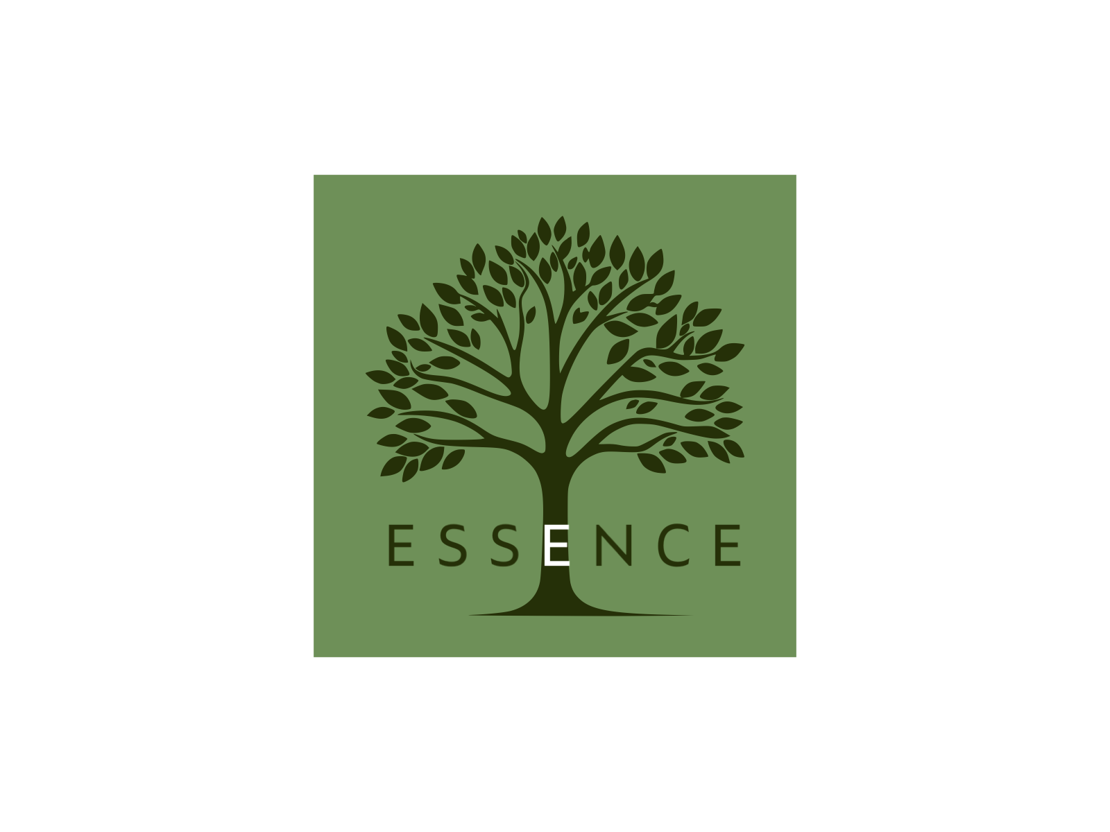 Example of ESSENCE