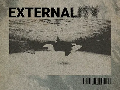 Poster design practice design graphic design killer whale orca poster vintage