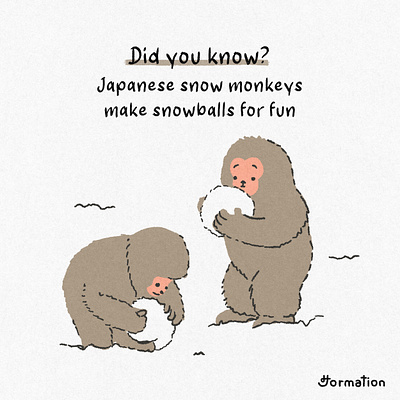 Japanese snow monkeys make snowballs for fun animal art cartoon cute did you know digital art digital illustration drawing fact fun fact illustration japan japanese monkey monkeys snow