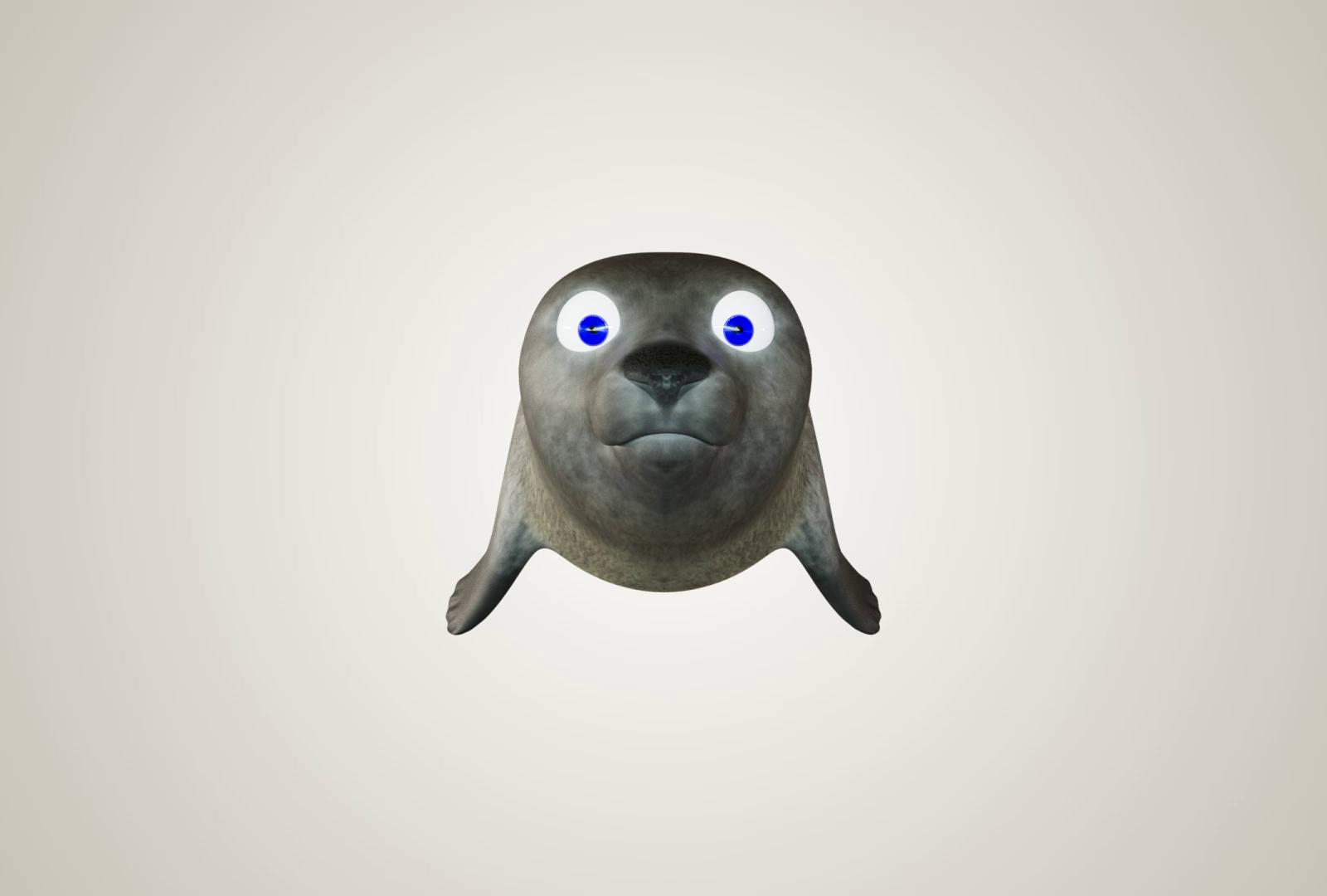 Seal ++ by Matter Motions on Dribbble