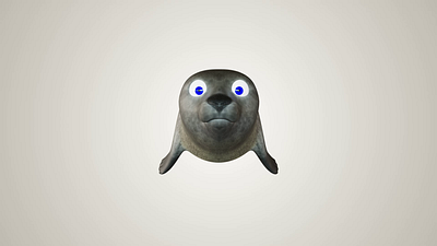 Seal ++ beautiful 3d marine character set matter motions studio sea lions seal