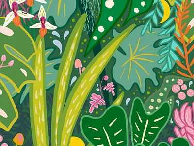 "Into the Jungle" Mural Commission by Julia Barry aloe botanical bright bromeliad chameleon colorful commission design hand drawn illustration julia barry jungle lush mural nature orchid painting plants procreate tropical