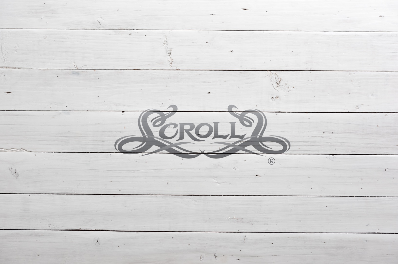 Scrolls | Branding & Identity branding design graphic design illustration logo vector