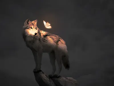 Glowing butterfly graphic design photoshop