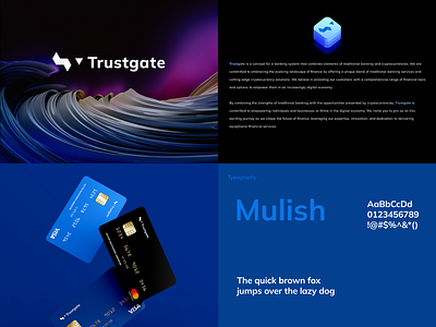 Trustgate | Brand & Visual Identity brand identity branding graphic design illustrator logo