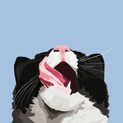 Slurp slurp adobe adobe illustrator cat design graphic design illustration pets vector