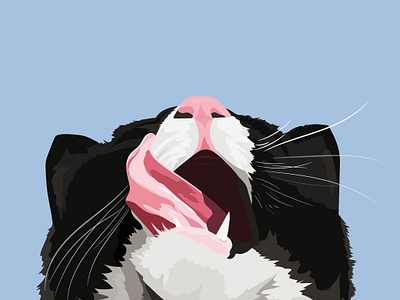 Slurp slurp adobe adobe illustrator cat design graphic design illustration pets vector