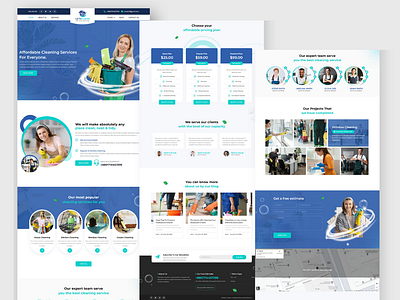 Cleaning Services WordPress Elementor Website design elementor landign page web design website wordpress website worpress