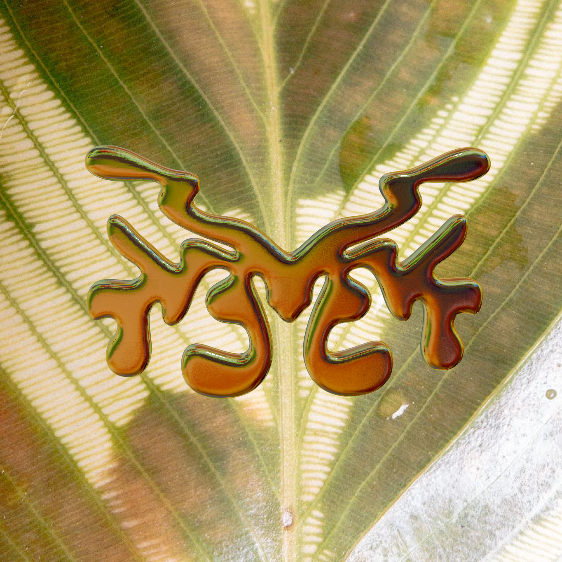 Type Inspired Frog in Blender 3D 3d animation blender design graphic design motion graphics procreate typeinspired typography