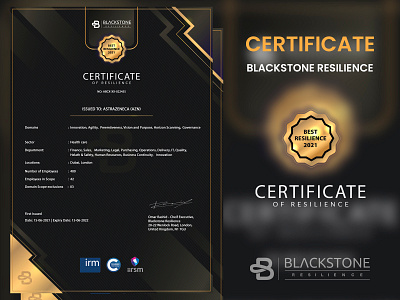 Certificate BLACKSTONE RESILIENCE branding certificate design graphic design