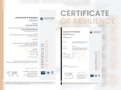 Certificate BLACKSTONE RESILIENCE - White certificate design graphic design