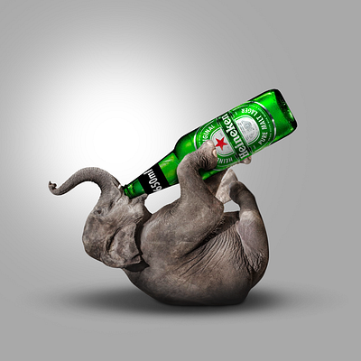 Heineken - Creative concept branding design graphic design