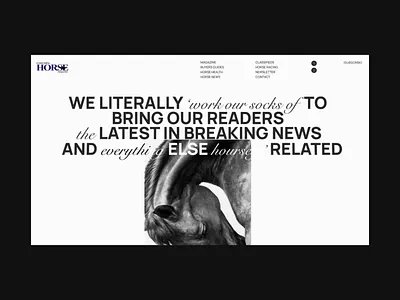 EVERYTHING HORSE MAGAZINE animation design ui ux web