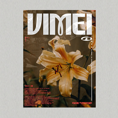 Vimei Poster Vintage alternates branding classic cover design font graphic design heading headline logo logotype new font poster retro sans serif summer type typeface typography vintage