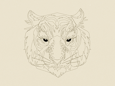 Tiger Outline animal big cat design graphic design illustration tiger vector