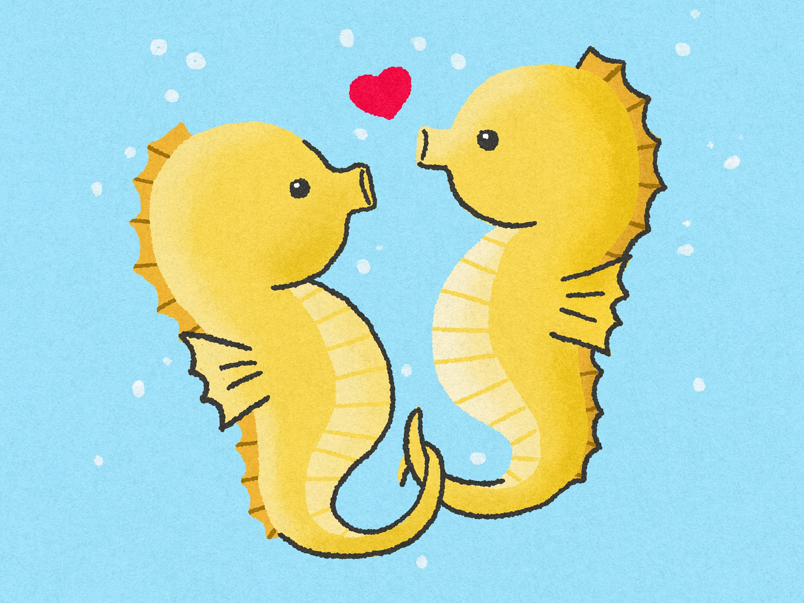 Seahorses mate for life and they hold each other's tails by Jormation ...