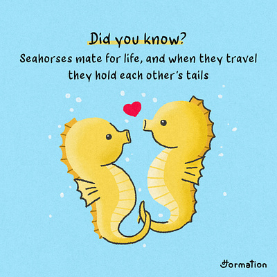 Seahorses mate for life and they hold each other's tails animal art cartoon did you know digital art digital illustration drawing fact fun fact illustration procreate sea seahorse イラスト