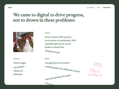 Flexim - landing page | Problems in digital cms design headless cms hero landing product saas ui ux