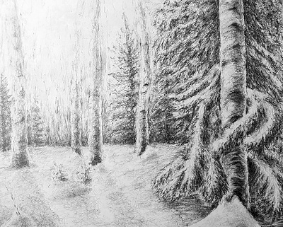 Whispering Woods: Pencil Drawing Forest Landscape black and white drawing graphite drawing hand drawn illustration pencildrawing scenery sketch