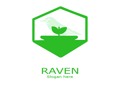 Raven Logo branding design graphic design logo