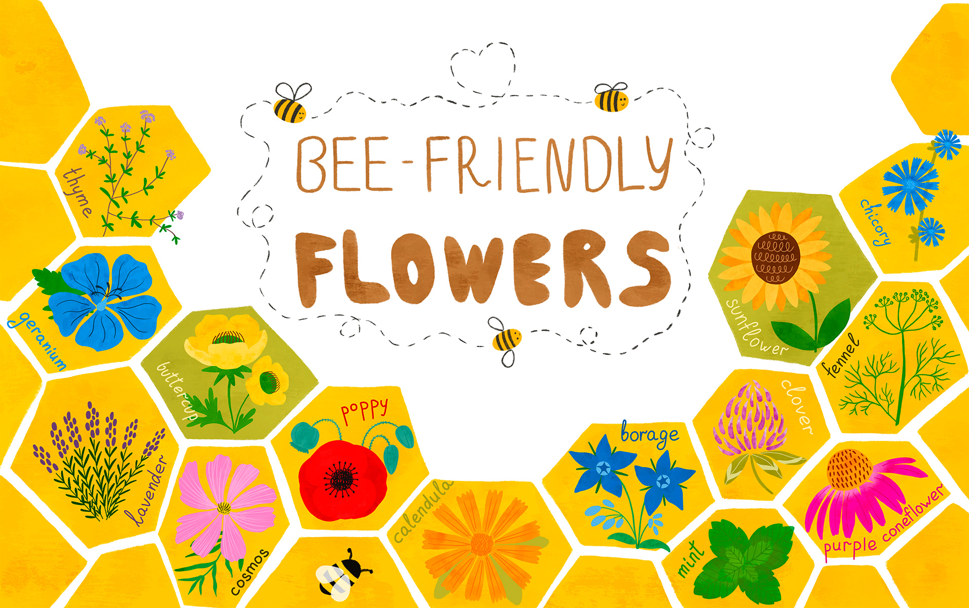 Bee friendly flowers. Save the bees beekeeping children drawing ecological poster hand drawn hand lettering hand written honey bee honeycomb illustration kids book kinds non fiction lettering phrase procreate procreate app save the bees text watercolor wildfowers