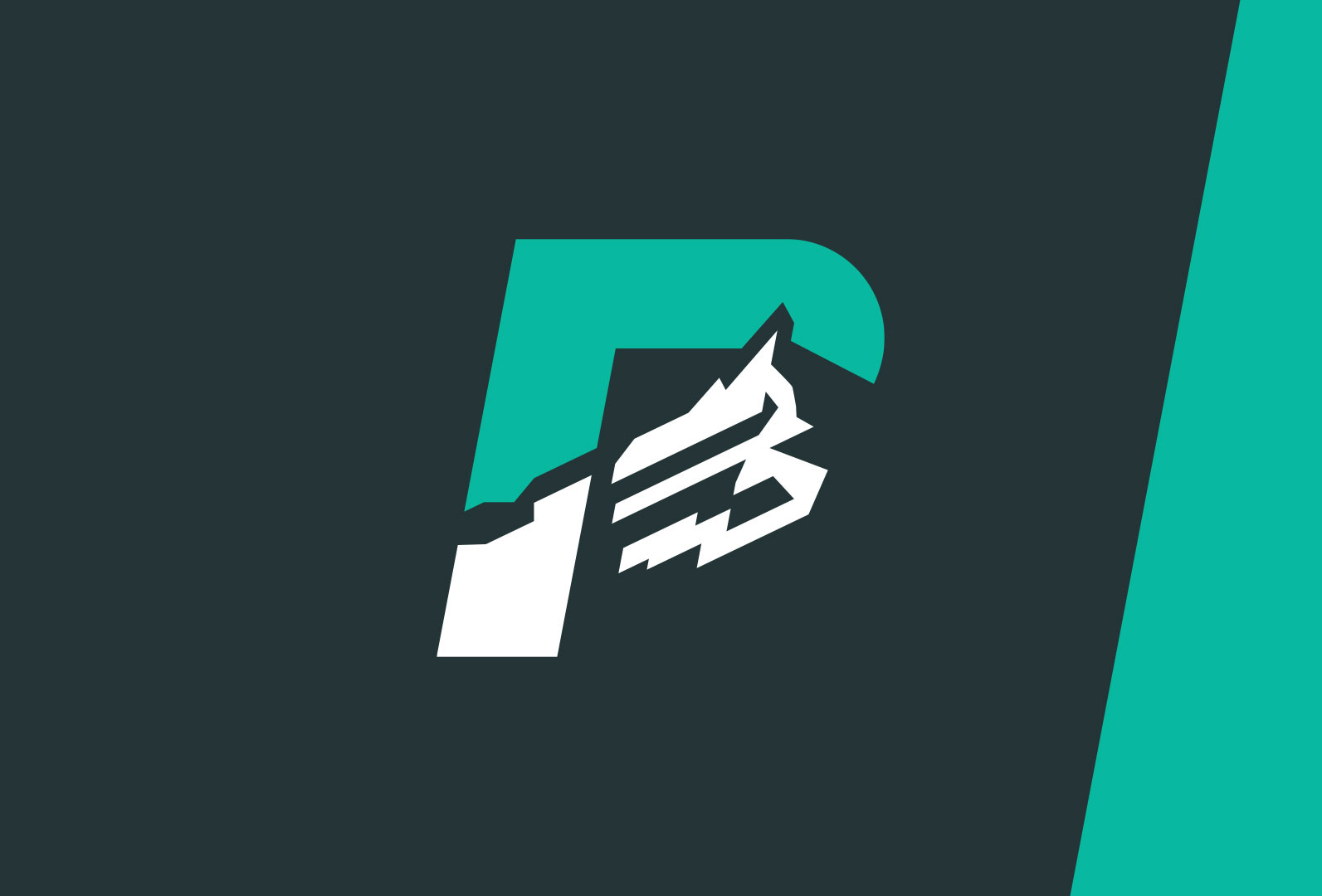 Pinnacle Property Management by Tommy Rood on Dribbble