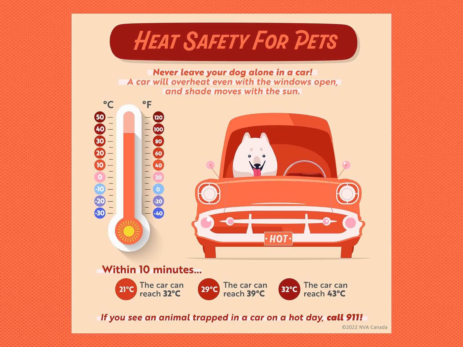 Heat Safety for Pets Infographic by Madeline on Dribbble