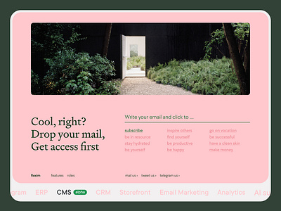 Flexim - landing page | Subscription cms design headless cms landing product saas subscribe ui ux