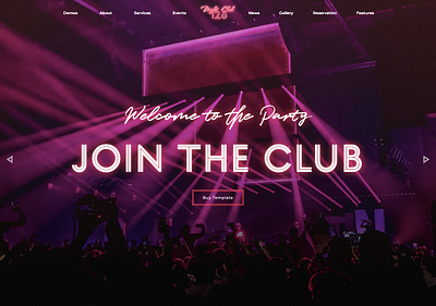 Night Club professional professional website responsive design webflow website templates