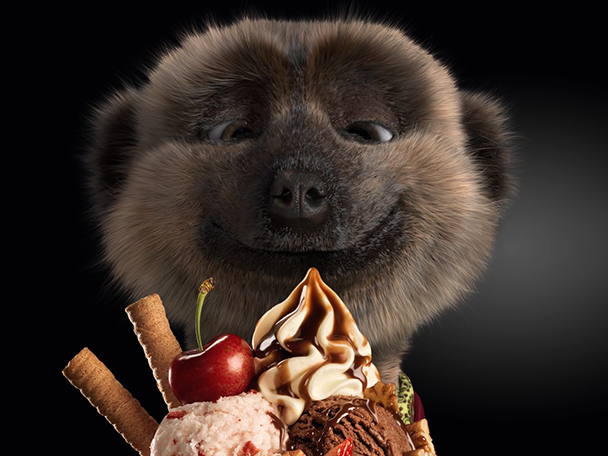 Meerkat Meals DOOH Launch Campaign aftereffects animation compare the market ctm dooh launch campaign meerkats