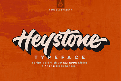 Heystone Typeface branding design display font fonts illustration lettering modern modern font typeface ui