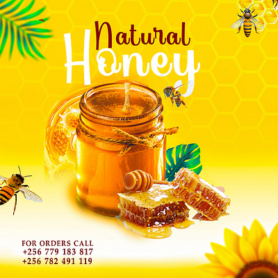 Honey Flyer branding design graphic design illustration
