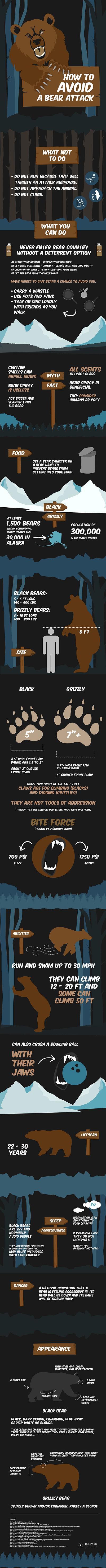 US Park Lodging graphic design illustration infographic marketing typography vector