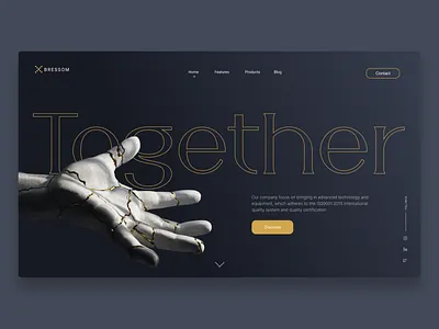 Bressom Tech UI branding landing logo ui webdesign