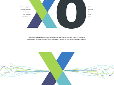 Qualtrics branding design graphic design illustration typography ui vector