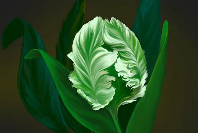Tulip digital painting illustration