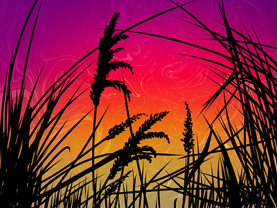 Sunset digital painting illustration